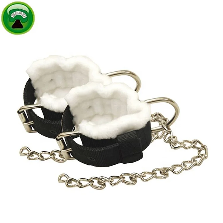Neoprene horse equipment equestrian hobble chain
