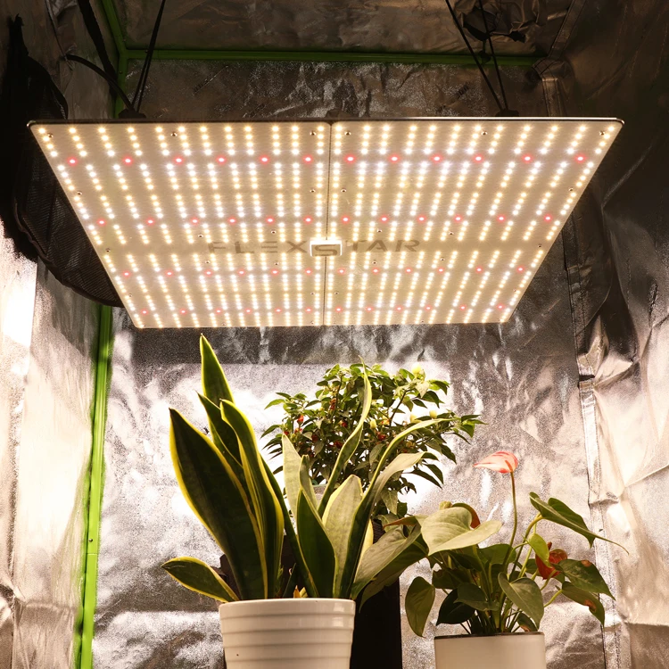 USA Local-After-Sales Service IP66 Rated Dimmable 480 Watt Full Spectrum LED Grow Light for Tent