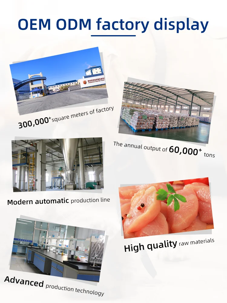 Прямая Продажа с фабрики оптовая продажа 23% Белковая 8% безжирный сухой корм для собак собачий щенков OEM ODM домашних животных поставщик