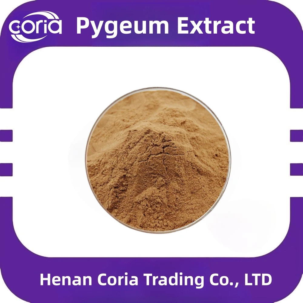 Natural African Plum Tree Extract African Prune Extract African Pygeum Extract