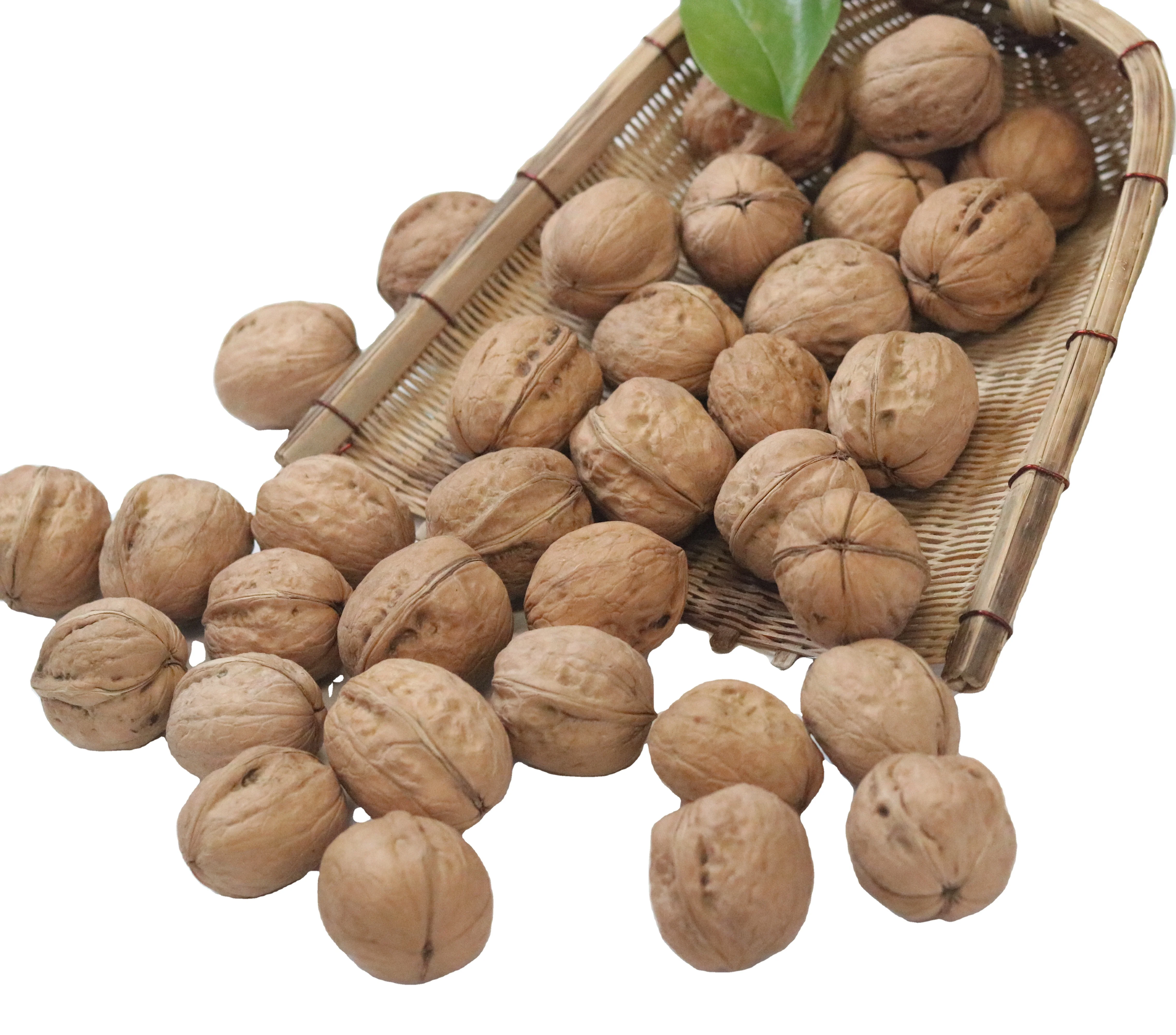 Top Grade Walnuts With Shell Kernel Dried Walnuts