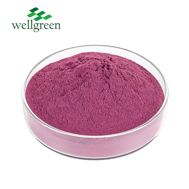Wellgreen Food Grade Blueberry Fruit Juice 100% Pure Water Souble Organic Blueberry Powder
