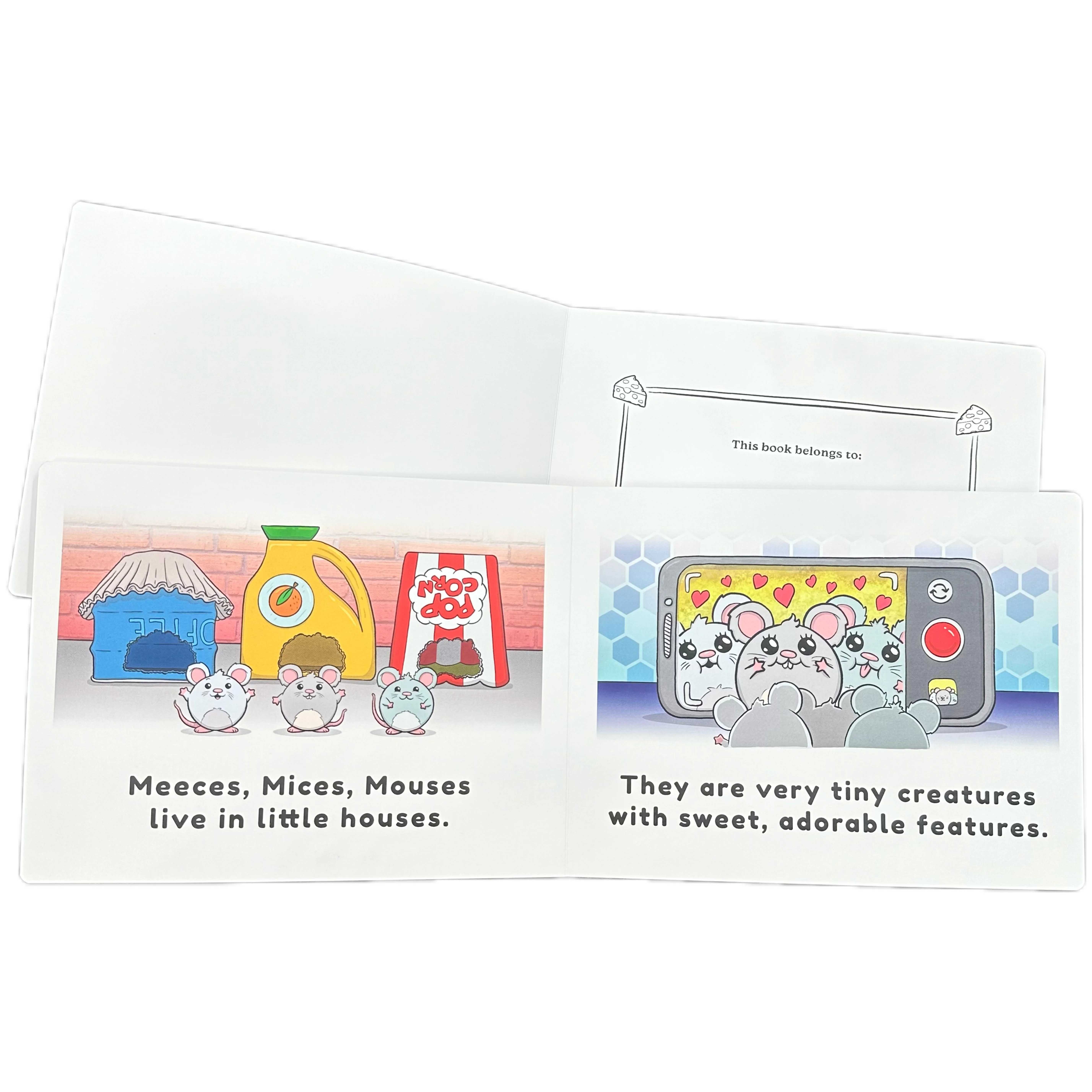 board book-7