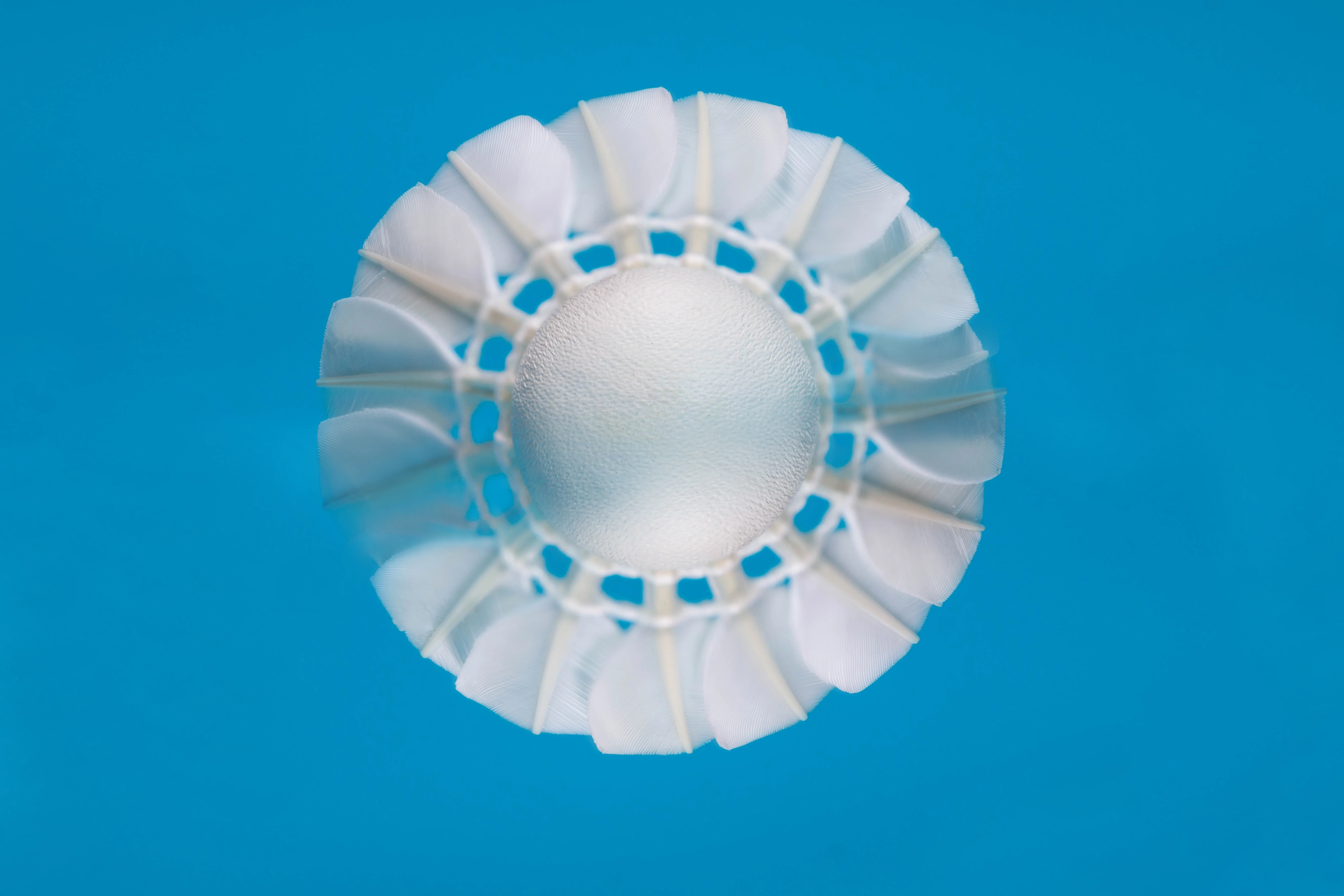 Excellent Badminton Shuttlecock Goose Feather Durable Suitable For Beginner Racket Enthusiasts To Training