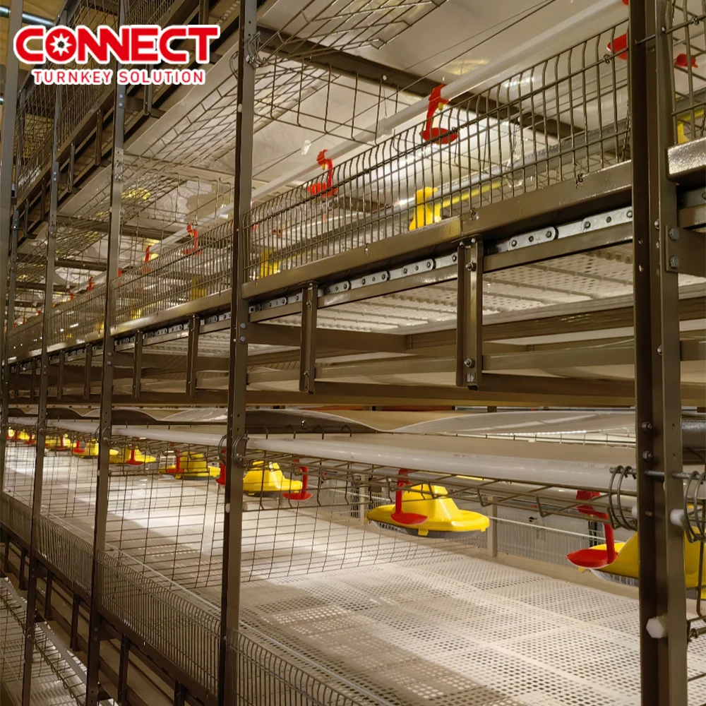 3 4 5 6 8 Tiers Full automatic broiler Battery Cages Farming  H-type poultry  pondeuse chicken feed system for 50000 Chicks