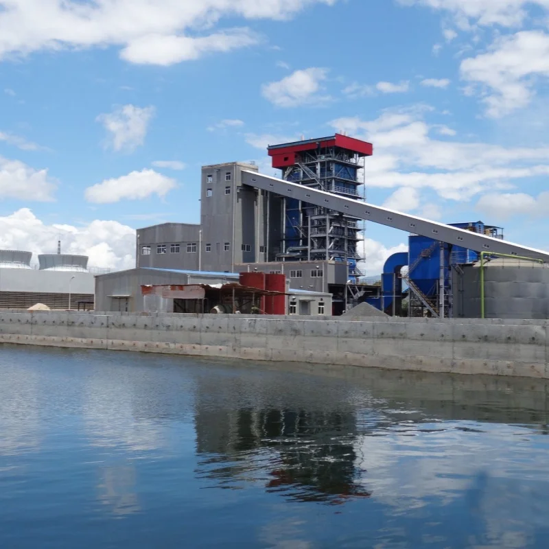 Power Plant Constractor of Coal Gas Oil Biomass Fuel Fired Electricity Power