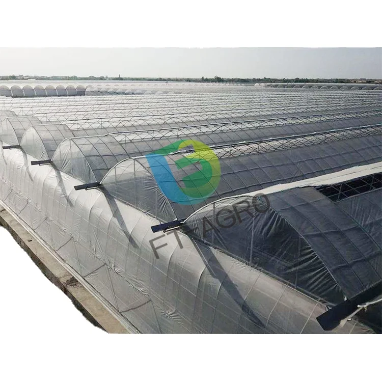 Big size Film Greenhouses
