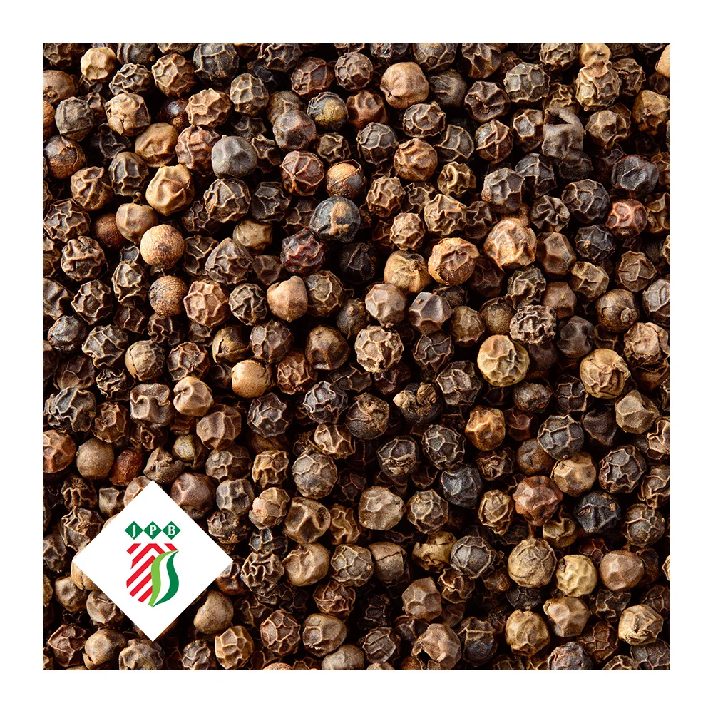 Black pepper spices high quality low price 100% natural wholesale export