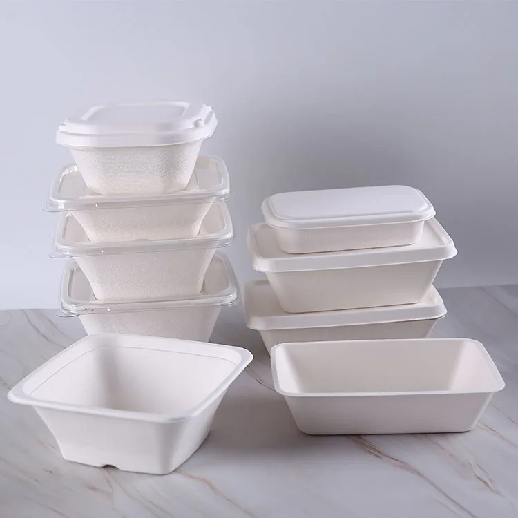 Hot sale biodegradable disposable sugarcane  bagasse tableware