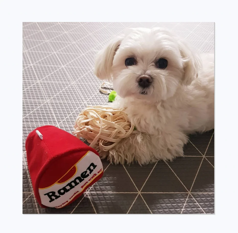 Ins Explosive Korean Ramen Design Sniffing Interactive Foreign Trade Pet Leaking Food Product Dog Sniffing Toys