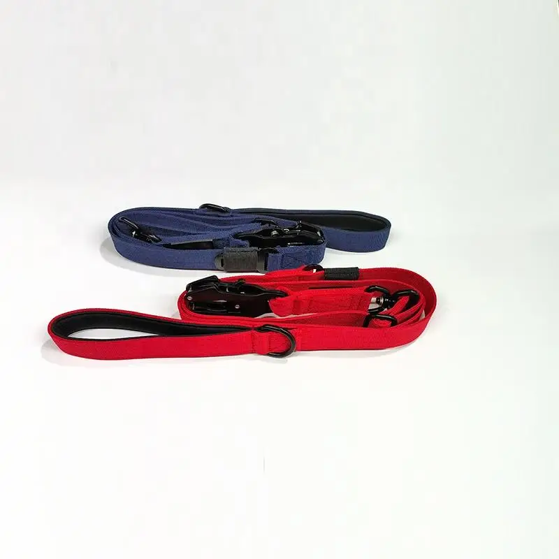 Best Price Custom Nylon And Metal Material Dog Leash Webbing With Soft Neoprene Padded Handle And Swivel Frog Buckle