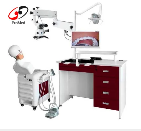 Electric oral training simulation manikin system (test desk optional)