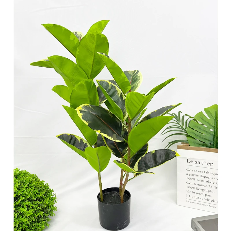 Simulated Indian Banyan Rubber Banyan Potted White Edged Rubber Banyan Bonsai Tree