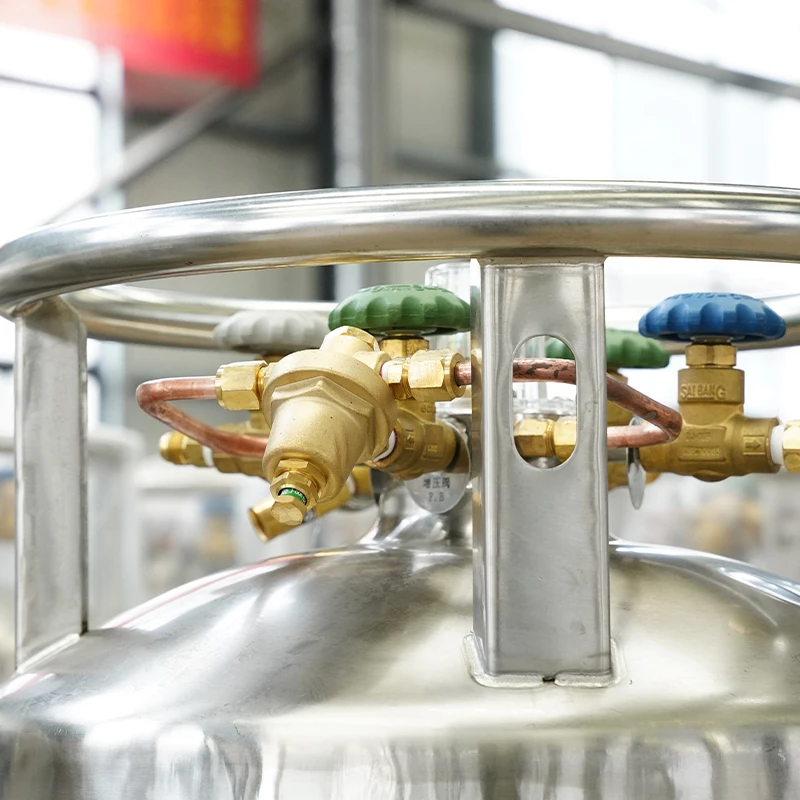 Insulated Cryogenic Liquid Oxygen Gas Dewar Cylinder Storage Tank Dewar