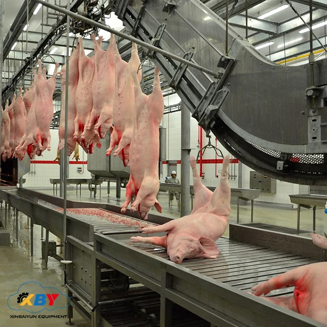 Professional Beef Tripe Cleaning Machine For Sale Of Cow Completed Slaughterhouse System