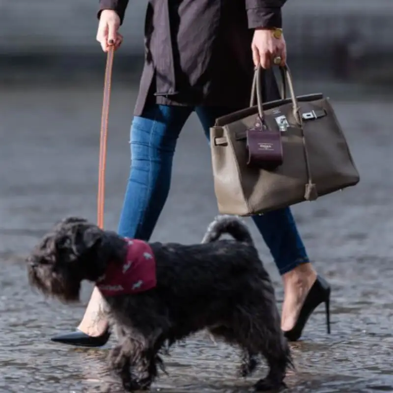 New Design Felt Dog Poop Bag Holder Portable Pet Waste Bag Muti Colors Puppy Poop Dispenser leather poo bag Pet Poop baggies