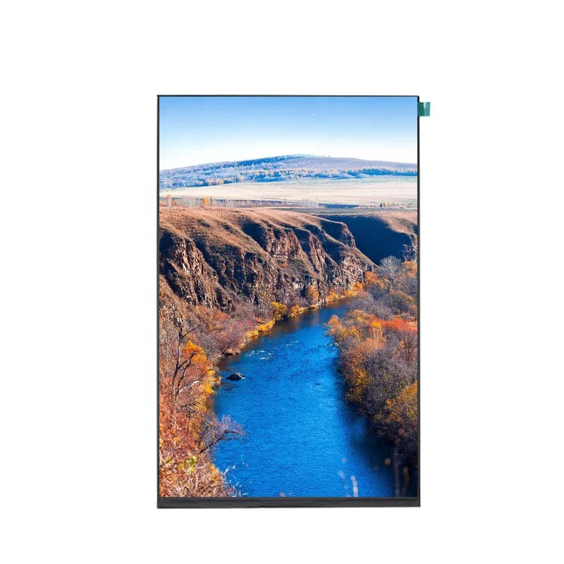 800x1280 resolution 10.1 inch ips tft mipi dsi interface lcd display