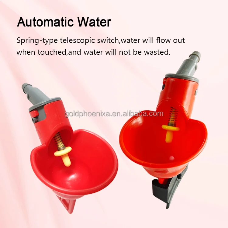 yyc poultry farming drinker chicken waterer automatic chicken drinker water cup for gamefowl running pens