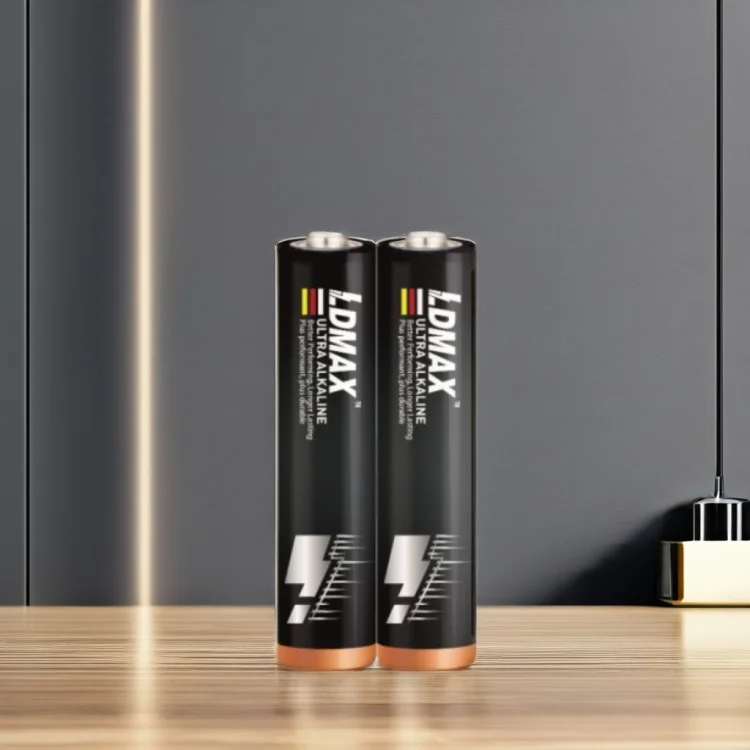 LDMAX China Factory Shrink Pack AAA LR03 High Performance Power Dry Batteries Am4 1.5v super Alkaline Aaa Battery for Game