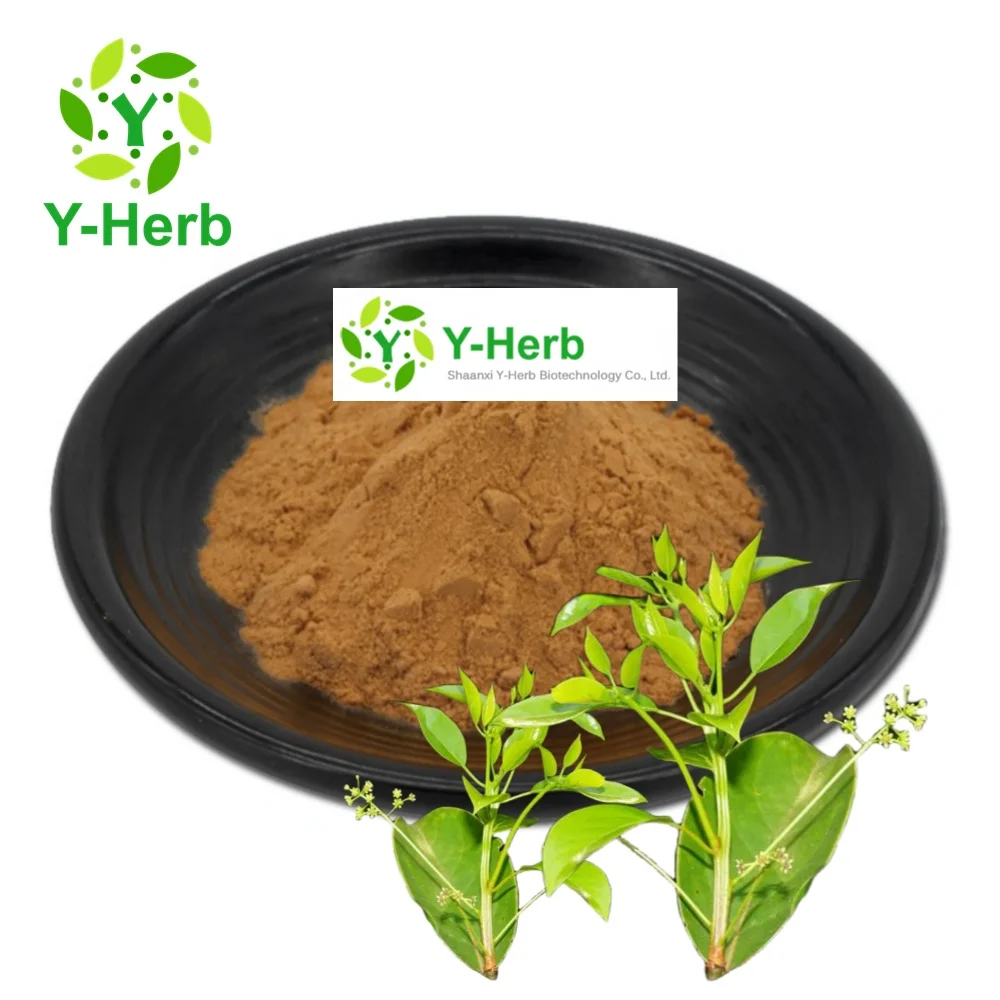 Sassafras Root P.E. Natural Sassafras Root Bark Extract 10:1 Cinnamomum Parthenoxylon/Sassafras Extract