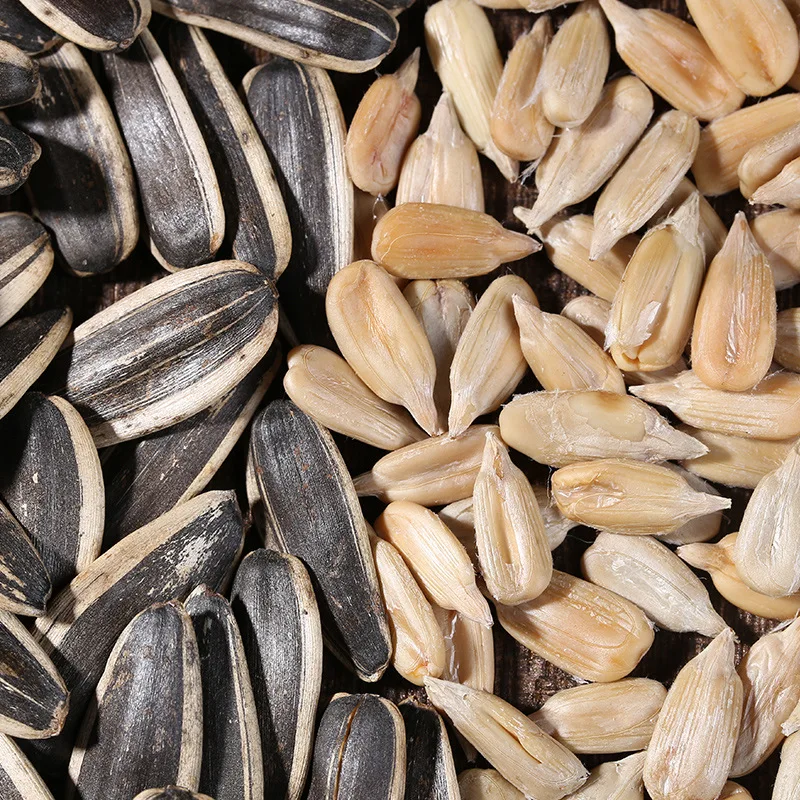 Customized Wholesale Healthy Snacks Sunflower Seeds Market Price with Export Sunflower Kernels