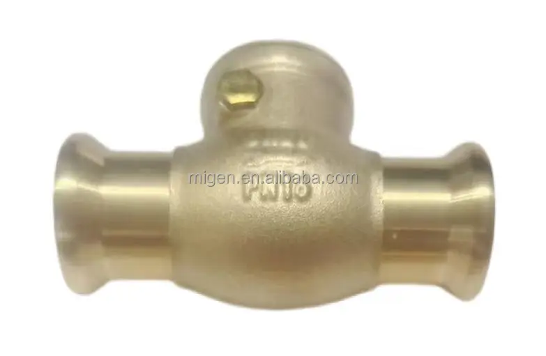 PN16  Connect Thread Of Check Valve Sanitary Pipe Fitting Double Clamp Quick