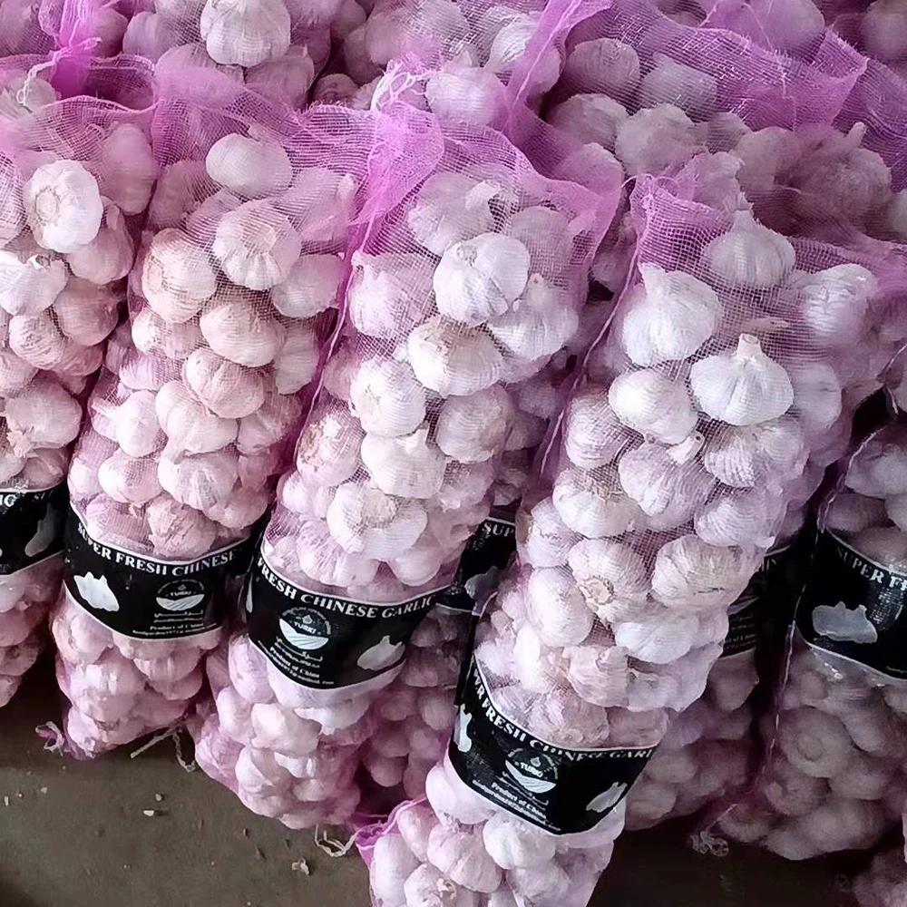 4.5-5.0cm 5.0-5.5cm Chinese fresh garlic in bulk With Best Quality