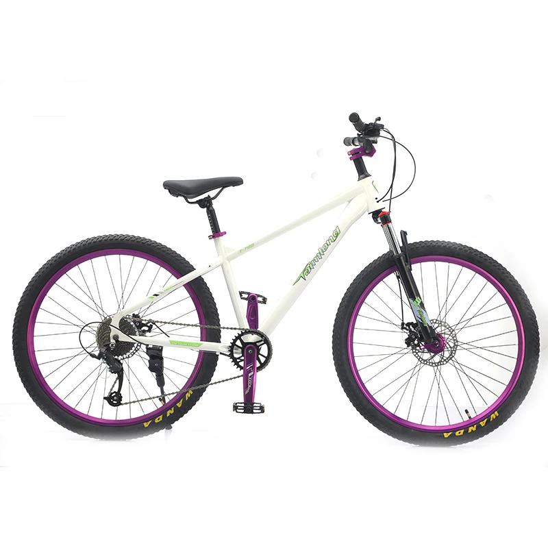 2025 NEW NT China factory cheap and good quality mountain Bicycle 20/22 /24/26 inch 9 speed adult bike student Bicycle.