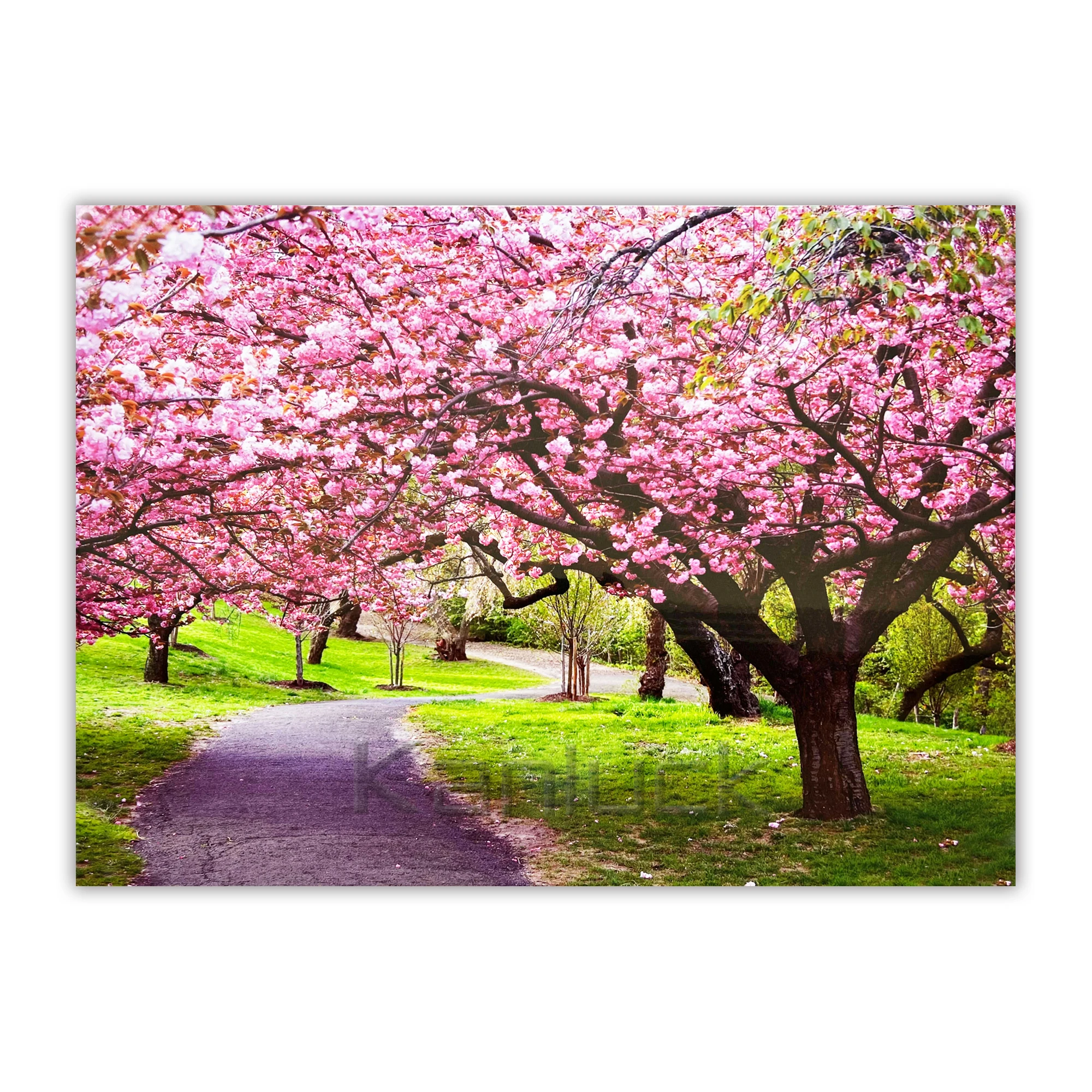 Red Marple Trees Scenery Wall Art Canvas Painting  With Lacquer