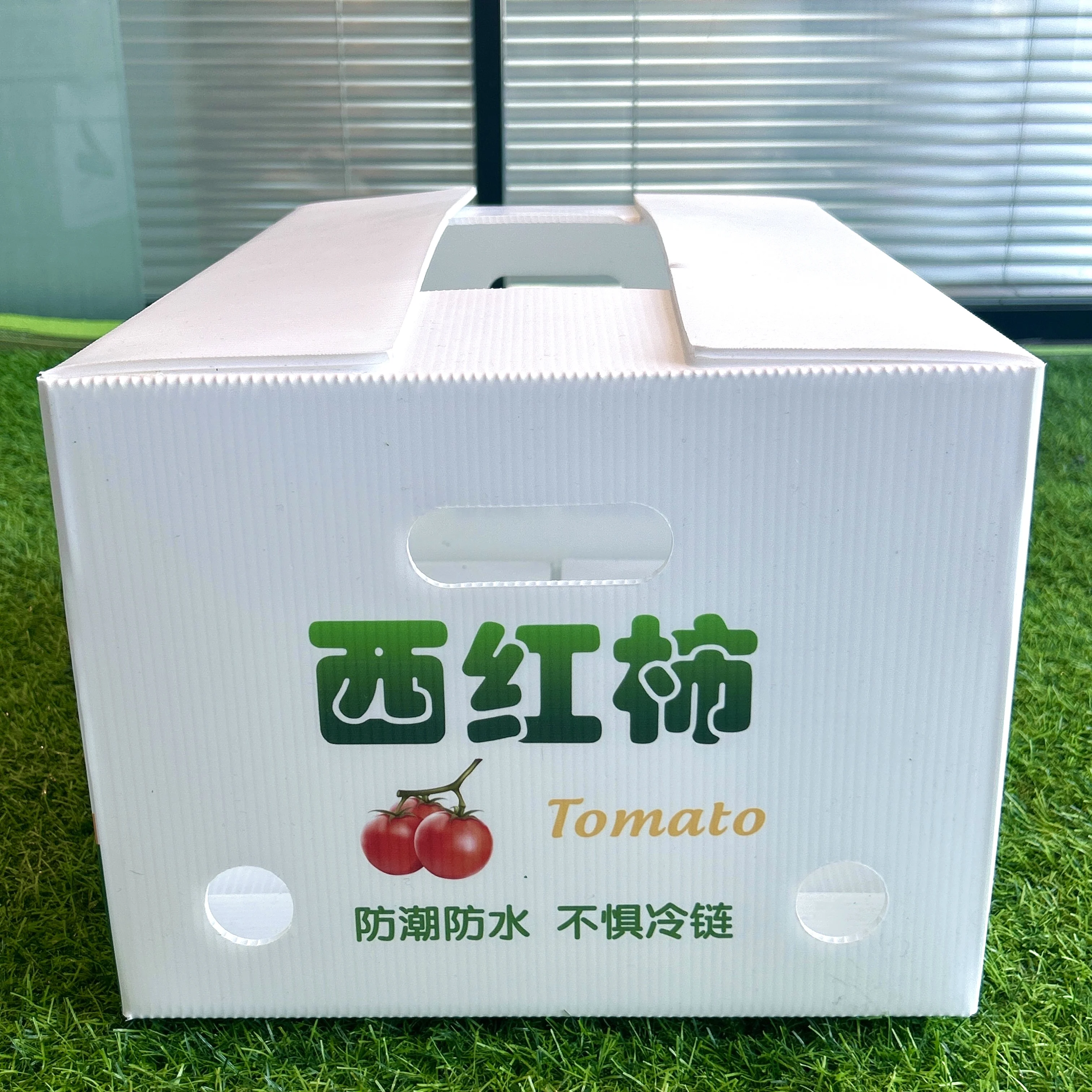 Fresh vegetables PP packing corrugated plastic box tomato  packaging box for storage