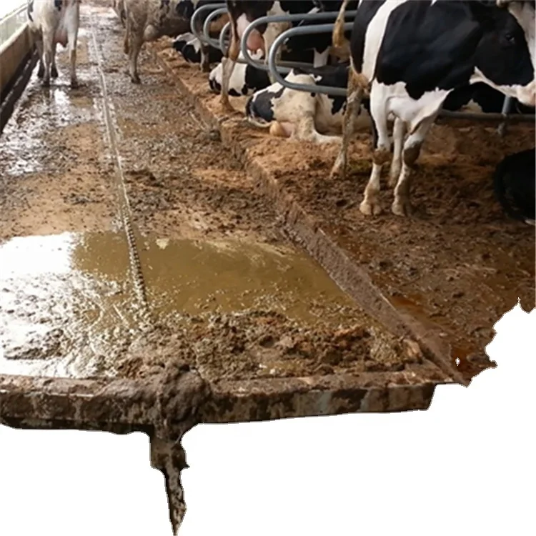 Siemens Control System Manure Scraper For Dairy Cow Farm , Manure Cleaning Machine