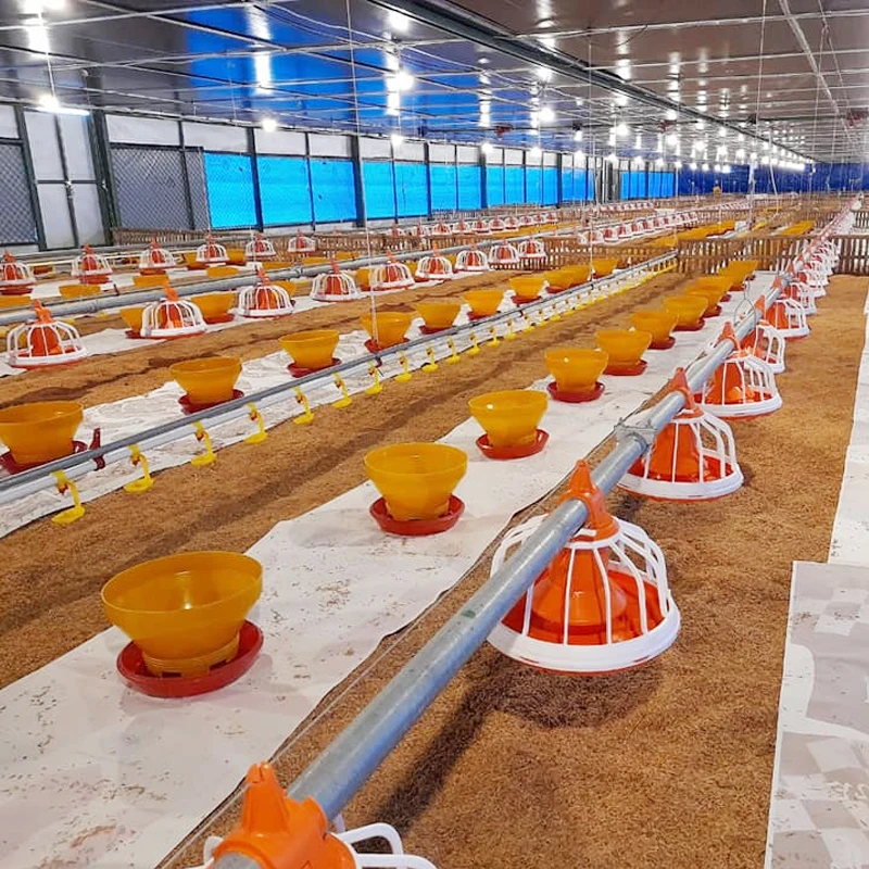 New model Automatic broiler Floor raising Equipment Automatic poultry feeding system Chicken Breeding Pan Feeder