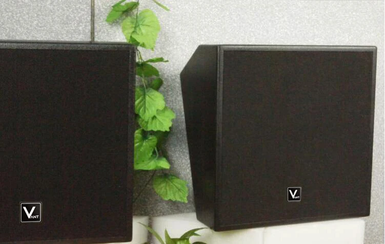DM0820 Full pa System Set for Church Cinema 5.1 Stereo Surround Sound Home Living Room Home Cinema Speakers Wall Mounted Audio