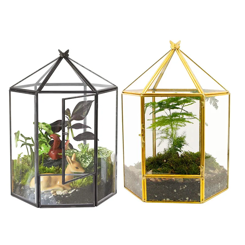 New Design Home Garden Office Decoration Gold Hexagonal Succulent Air Planter Black Glass Geometric Plant Terrarium with Door