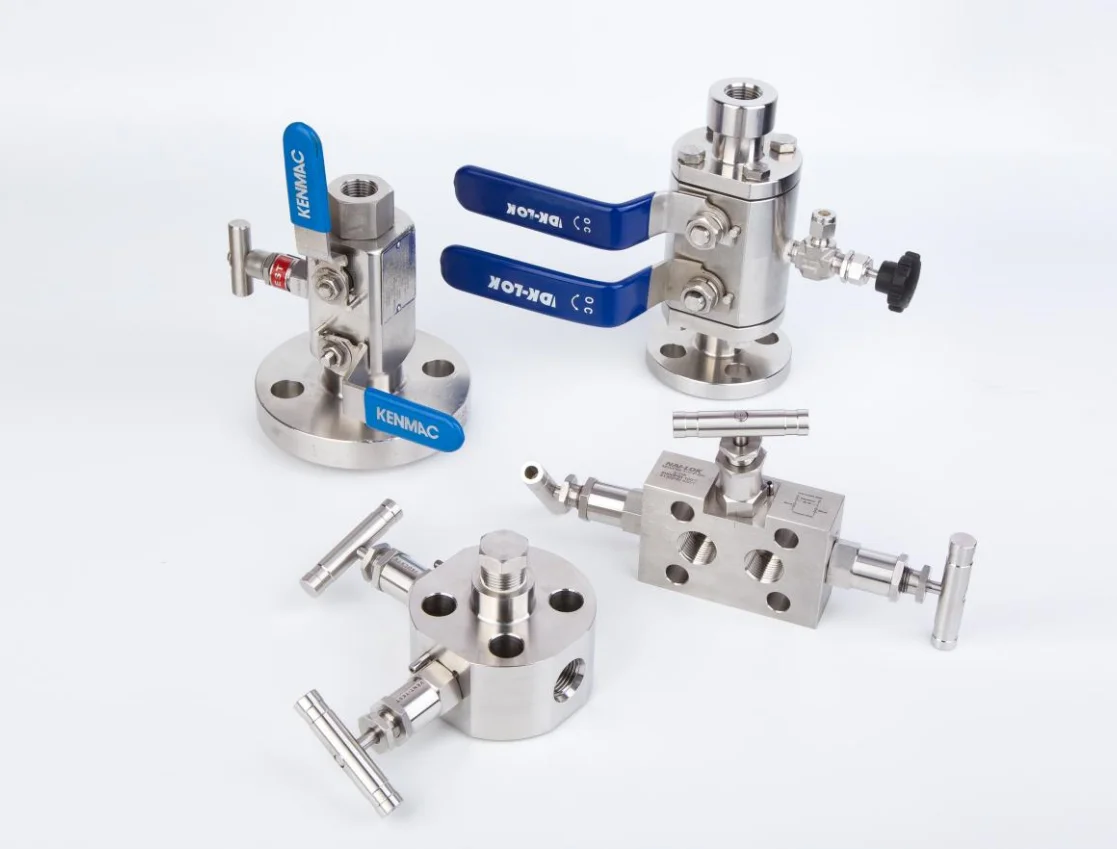 Intergrated Internal Thread Flange Type Two Valve Stainless Steel Double Block And Bleed Valve DBB