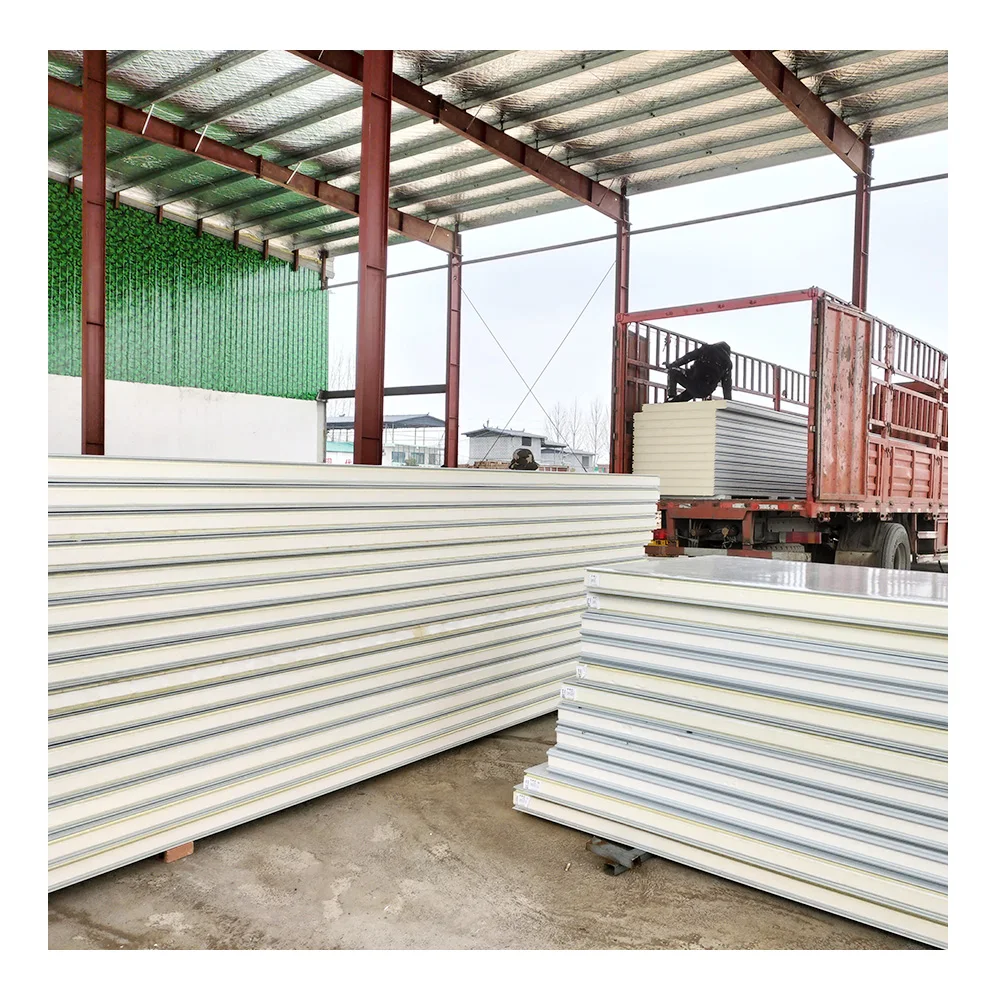 Cold Room Storage 100mm thickness PIR PU Panel with sealing sides for meat