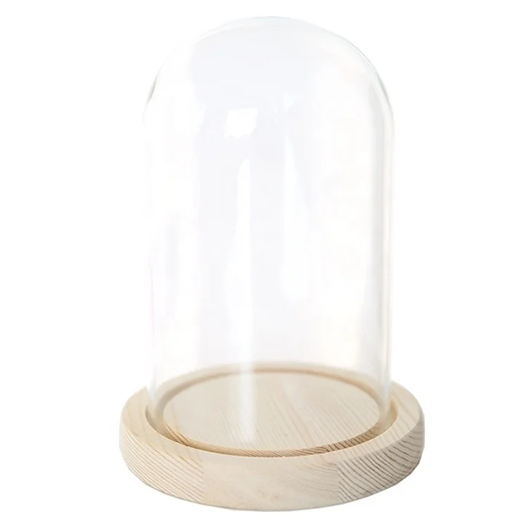 Luxury Flower Glass Jars with Transparent Glass Dome Glass Cover Vase-Various Sizes for Home Candles Unique Holder Box Packing