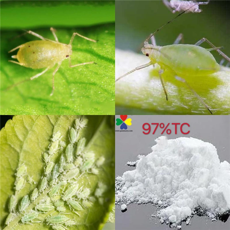 
Agrochemical Active Insecticide Imidacloprid Tech Price 