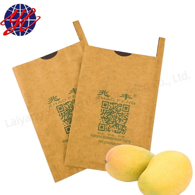 Waterproof Wrapping Paper Bag for Mango Growing