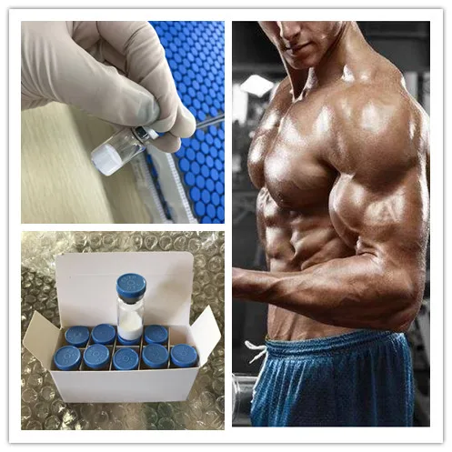 
High purity bodybuilding tb 500 peptides tb powder tb500 2mg 5mg 10mg/vial paypal tb500 thymosine bta 4 