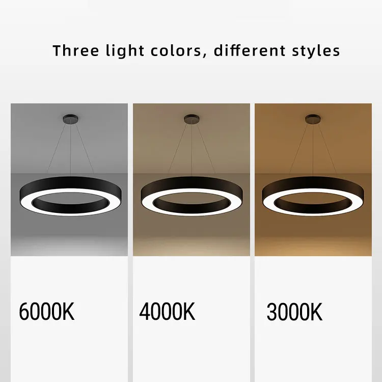 Diameter 800mm Black Housing 50W Gallery Commercial Lighting Studio Round Pendant Lamp