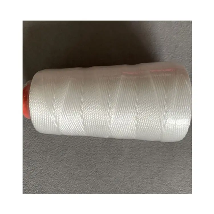 Manufacturer Supply 210D Polypropylene Pp Multifilament String Twine