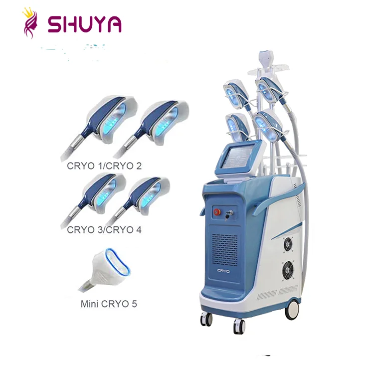 
New Slimming Technology Cool Body Shaping Cryolipolyse/Kryolipolyse Machine with lipo laser 