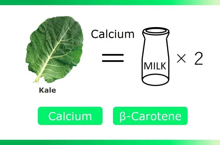 Фруктовые овощные ингредиенты мгновенный безалкогольный напиток Зеленый сок