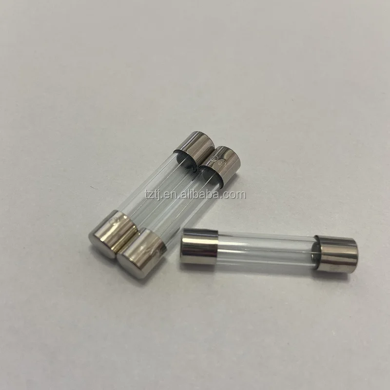 Harman Control Board Fuse 5amp glass fuse