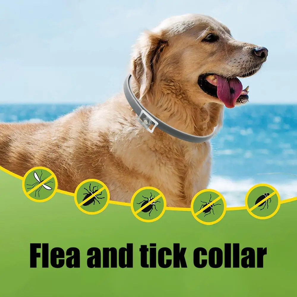 Flea and tick prevention for dog - 8 month Flea and Tick Prevention for dog and Cats - Natural Cat Flea Treatment