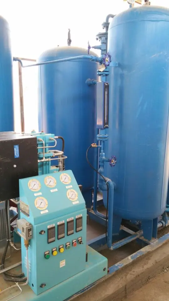 High Quality Psa Oxygen Generators High Quality Zeolite Molecular Sieve Oxygen Concentrator High-purity Food-grade Stainless Ste