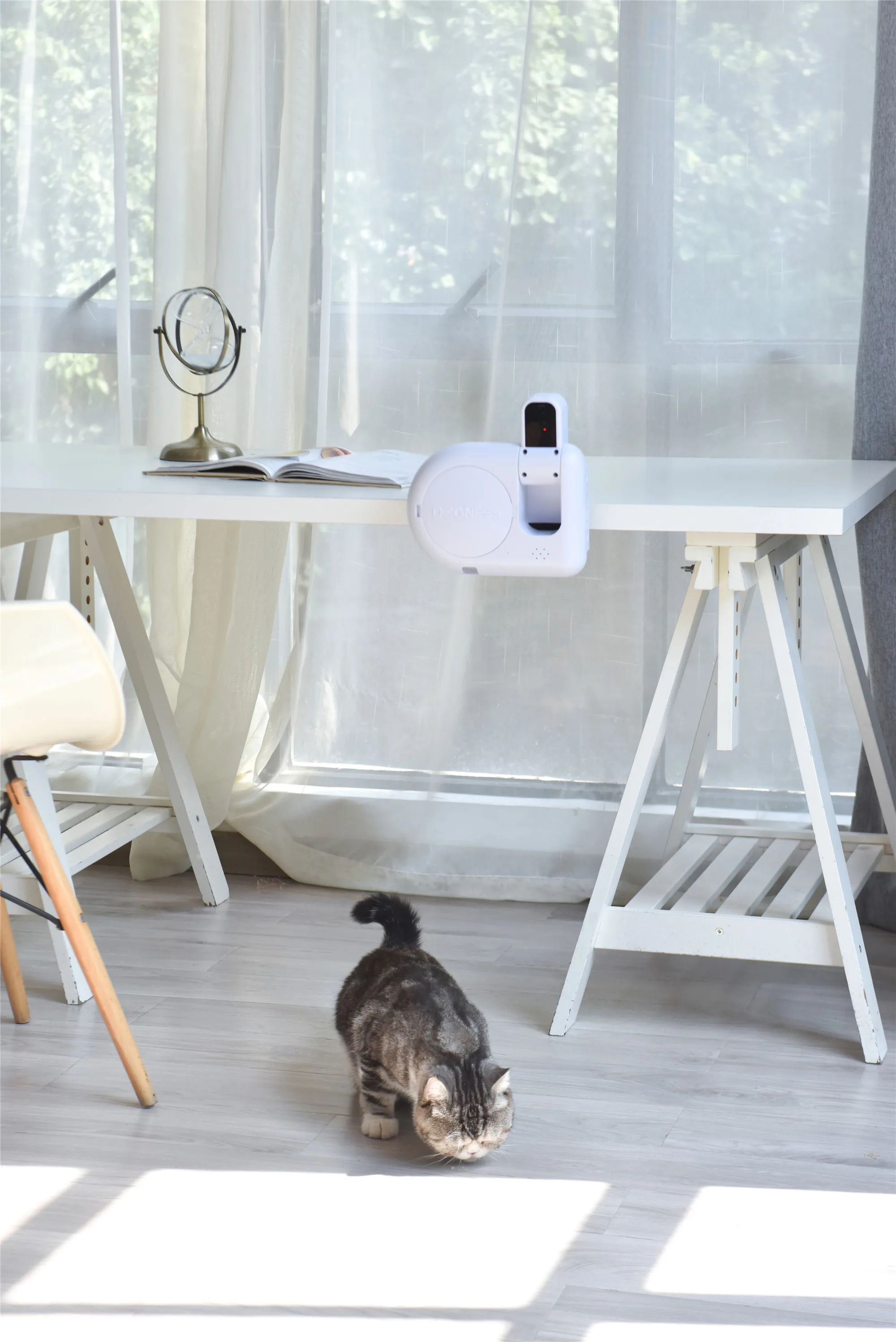  Оптовая продажа Dogness мини робот кошка Лазерная автоматическая обработка пищевого диспенсера приложение дистанционное управление