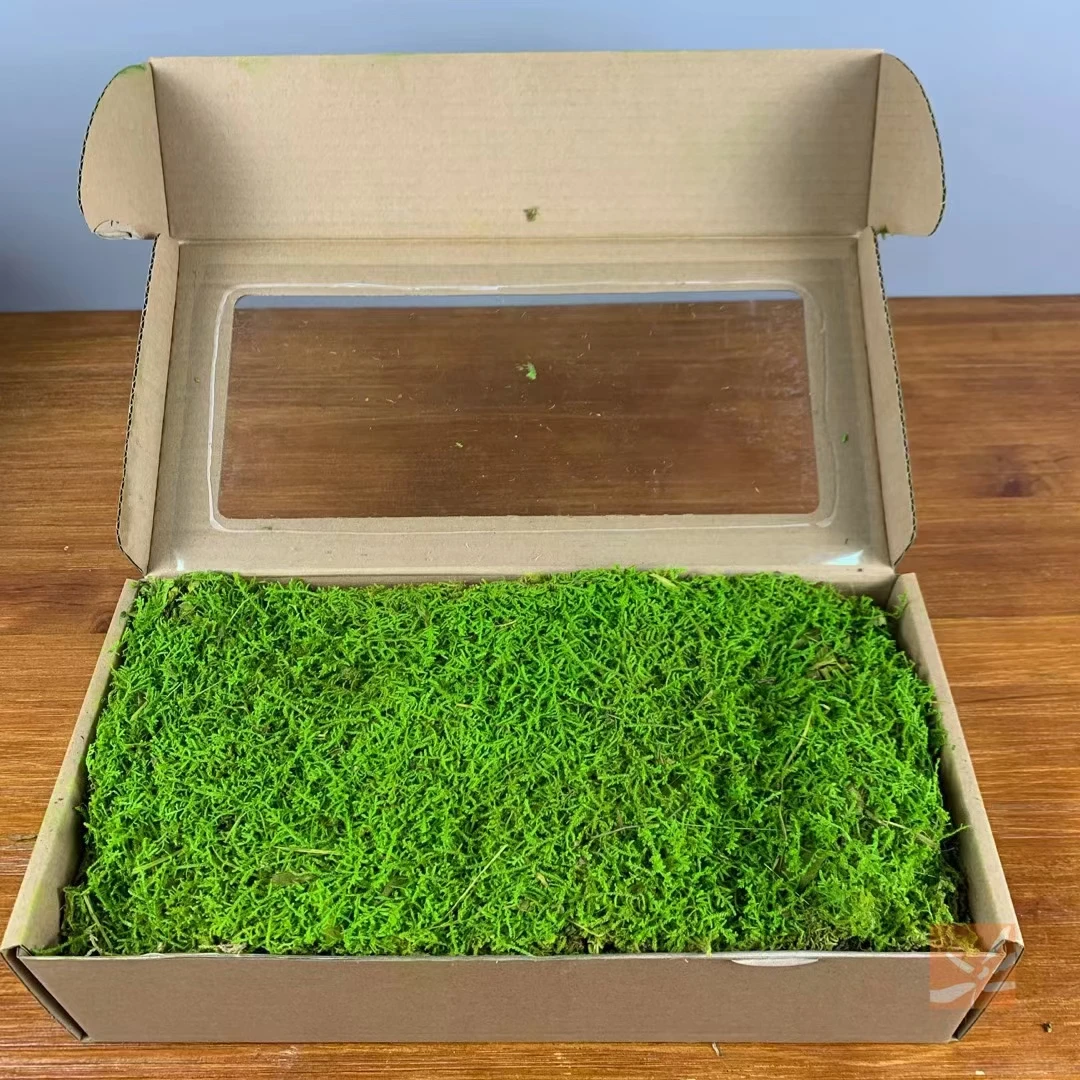 Free size artificial real preserved live moss wall art moss Picture Frame decorations panel artificial moss grass wall