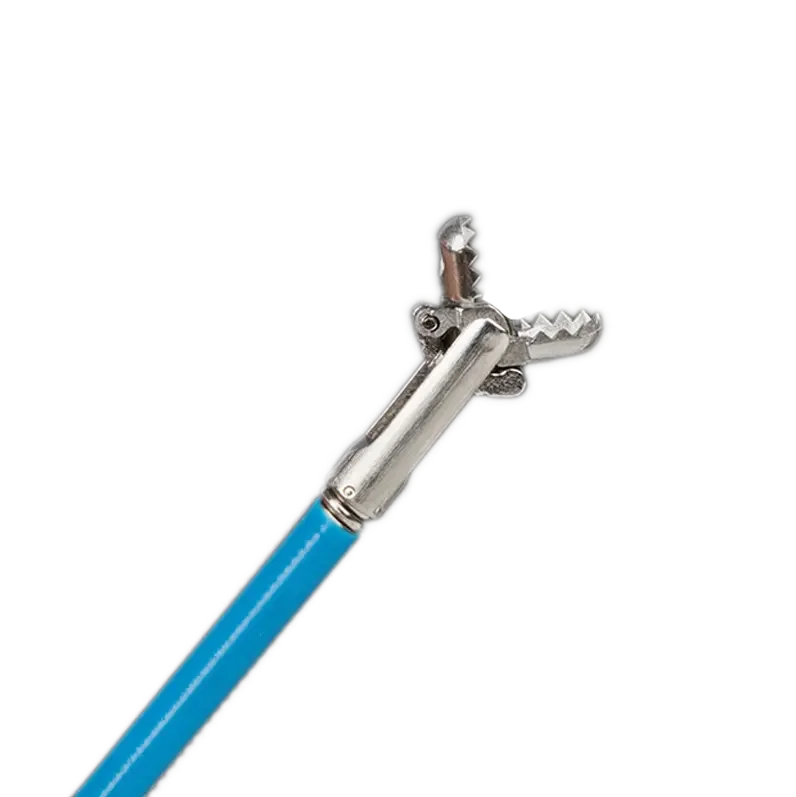 single use Disposable flexible biopsy forceps Flexible alligator biopsy forceps For Endoscopy Colonoscopy Gastroscopy Bronchosc